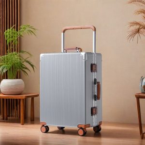 DDDDDD02 Five wheels aluminum frame travel bag