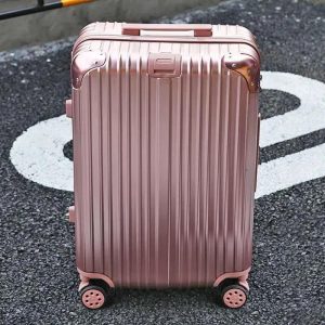 DDDDDD04 Simple and Stylish Suitcase